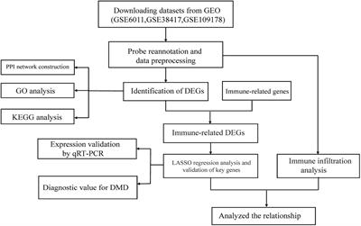 Identification of Auxiliary Biomarkers and Description of the Immune Microenvironmental Characteristics in Duchenne Muscular Dystrophy by Bioinformatical Analysis and Experiment